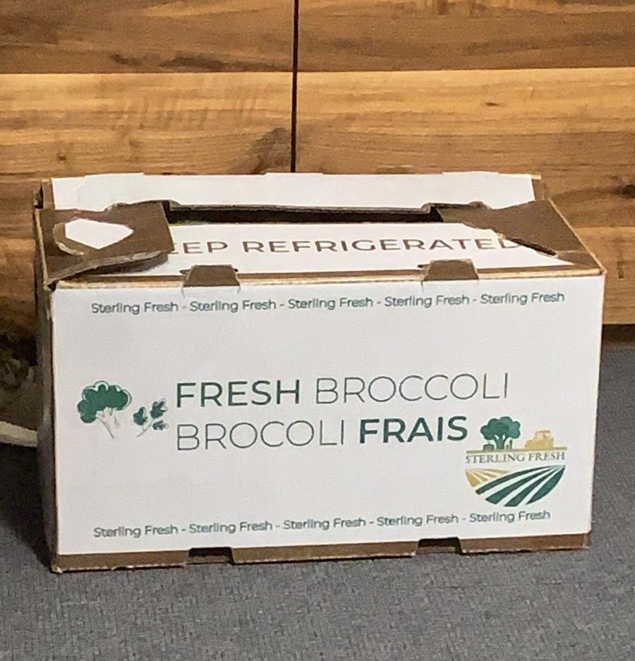 Logística de Exportación