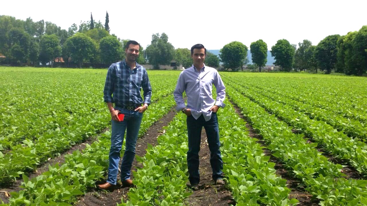 Empaque en Guanajuato