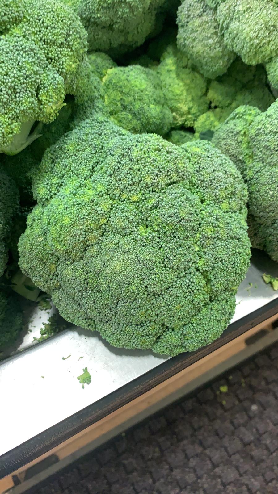 Brocoli sin hielo