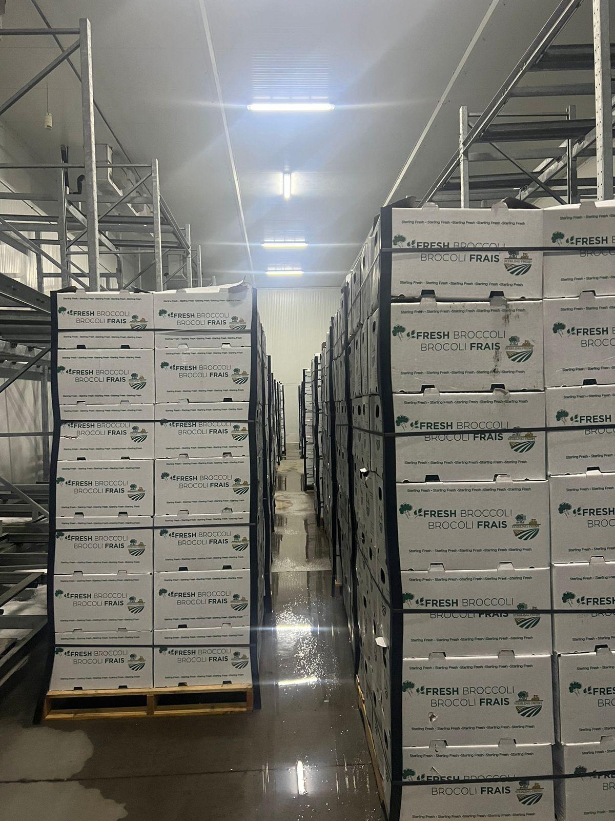 Logística de exportación