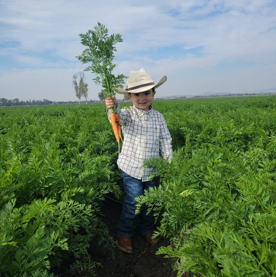 Equipo Sterling Fresh